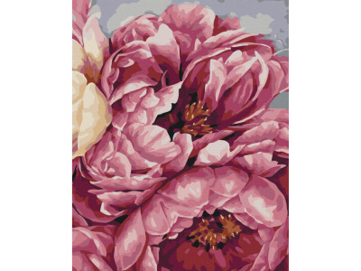 Картина за номерами "Цвітіння піонів" Brushme BS40543 40x50 см