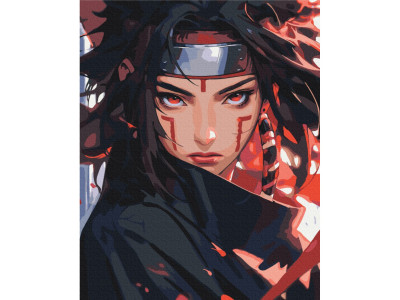 Картина за номерами "Ніндзя" BS54072 40x50 см