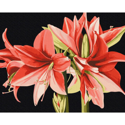 Картина за номерами "Амаріліс" © Anastasiia Osmolovska BS53725 40х50 см