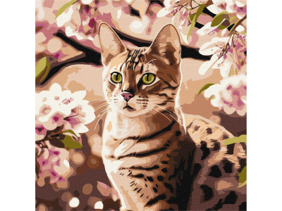 Картина за номерами "Кошеня в саду" ©art_selena_ua KHO6513 40х40 см Ідейка