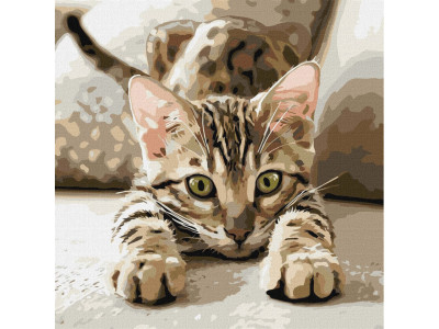 Картина за номерами "Грайливе кошеня" ©art_selena_ua KHO6877 40х40 см Картина за номерами "Грайливе кошеня" ©art_selena_ua KHO6877 40х40 см
