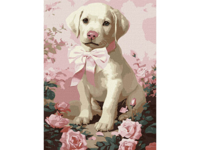 Картина за номерами "Пухнастий подарунок" KHO6755 30х40 см