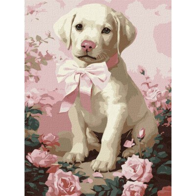 Картина за номерами "Пухнастий подарунок" KHO6755 30х40 см