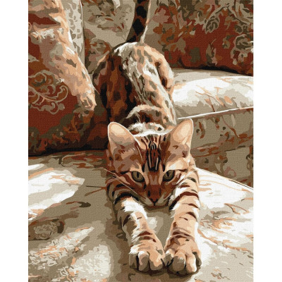 Картина за номерами "Ранкова розминка" ©art_selena_ua KHO6854 40х50 см