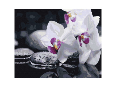 Картина за номерами "Квіти дзену" Brushme BS21140 40х50 см