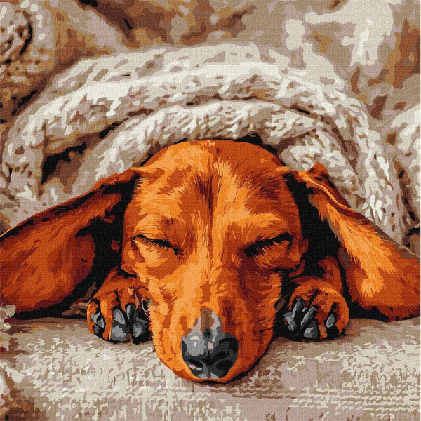 Картина за номерами "Солодкий спокій" ©art_selena_ua KHO6840 40х40 см