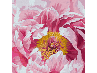 Картина за номерами "Барвиста півонія" Ідейка KHO3211 40х40см