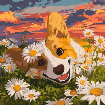 Картина за номерами "Коргі в ромашках" ©art_selena_ua KHO6798 40х40 см Картина за номерами "Коргі в ромашках" ©art_selena_ua KHO6798 40х40 см
