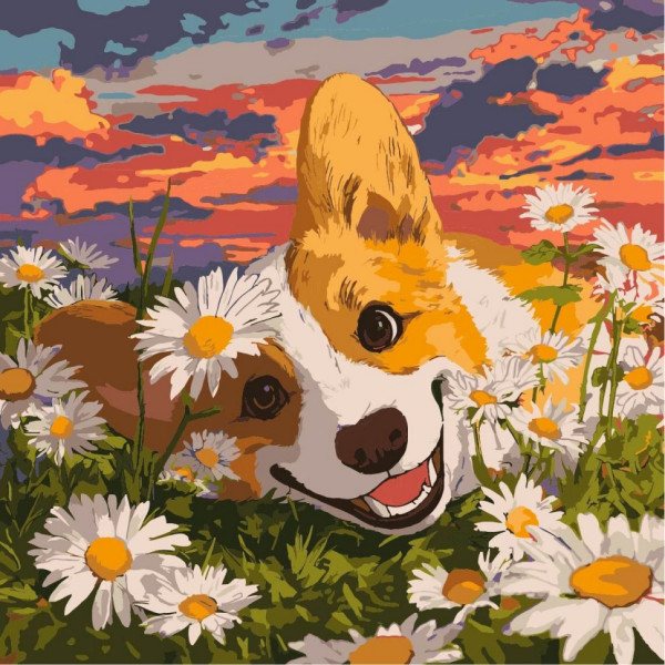 Картина за номерами "Коргі в ромашках" ©art_selena_ua KHO6798 40х40 см