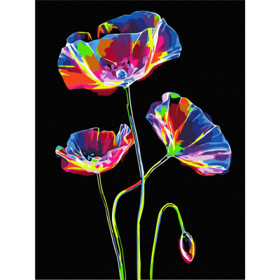 Картина за номерами "Нічна феєрія" RBSB0004 30x40 см
