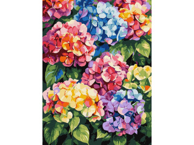 Картина за номерами "Різнокольорові гортензії" ©art_selena_ua KHO3299 30х40 см