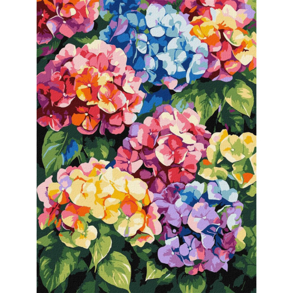 Картина за номерами "Різнокольорові гортензії" ©art_selena_ua KHO3299 30х40 см