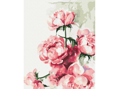 Картина за номерами "Акварельні півонії" ©Karolina Bundash Brushme BS53593 40х50 см