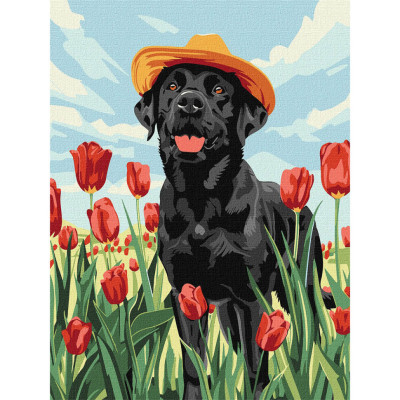 Картина за номерами "Чарівний лабрадор" KHO6621 30х40 см
