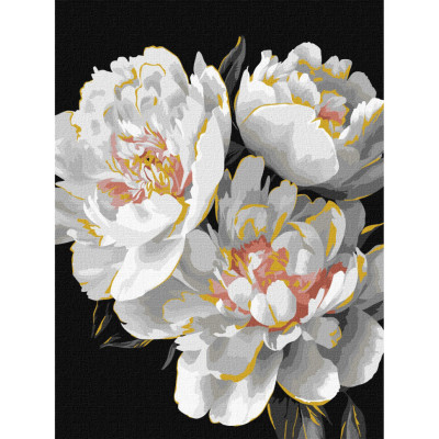 Картина за номерами "Білі бутони" KHO3297 з фарбами металік 30х40 см