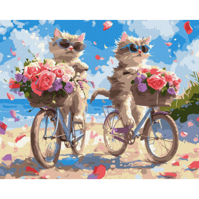 Картина за номерами "Літній велопробіг" KHO6634 40х50 см