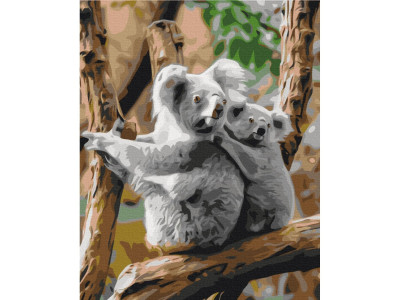 Картина за номерами "Сімя коал" Brushme BS52451 40х50 см