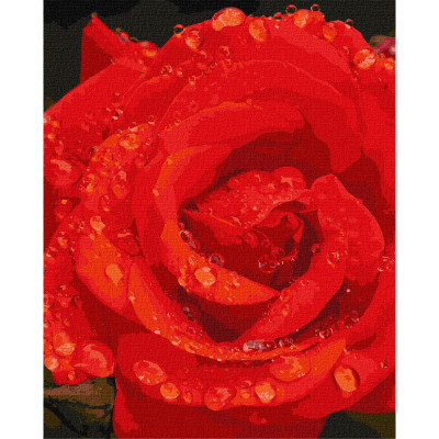 Картина за номерами "Троянда в діамантах" Ідейка KHO3207 40х50 см