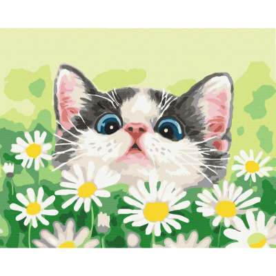 Картина за номерами "Котик в ромашках" Brushme BS51569 40х50 см