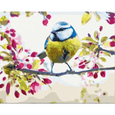 Картина за номерами "Весняна синичка" BS51439 Brushme 40х50 см