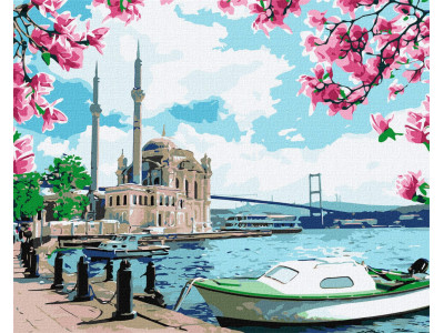 Картина за номерами. "Яскравий Стамбул" Ідейка KHO2757 40х50 см