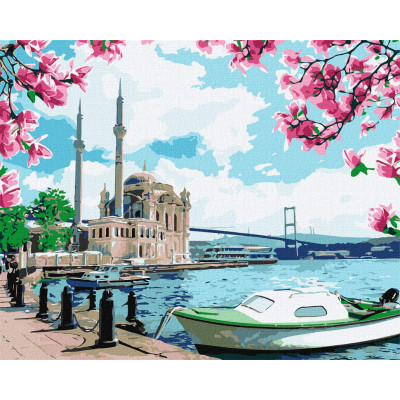Картина за номерами. "Яскравий Стамбул" Ідейка KHO2757 40х50 см
