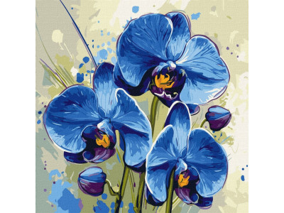 Картина за номерами "Ніжна орхідея" ©art_selena_ua KHO3344 40х40 см