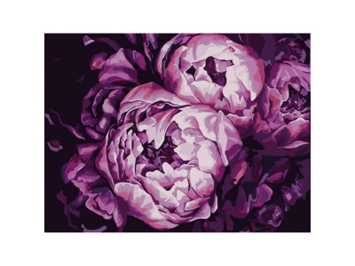 Картина за номерами "Помпезні півонії" Bambi 13131-NN 30х40 см