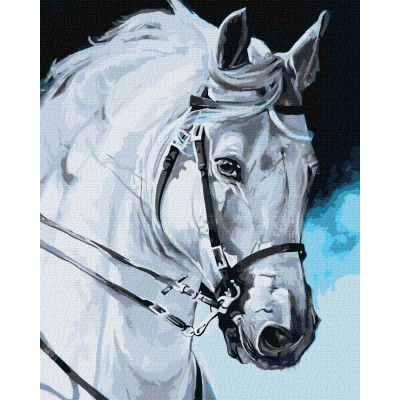 Картина за номерами "Гордий кінь" KHO4387 40х50 см