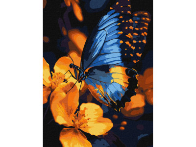 Картина за номерами "Мерехтіння крил" KHO6731 30х40 см