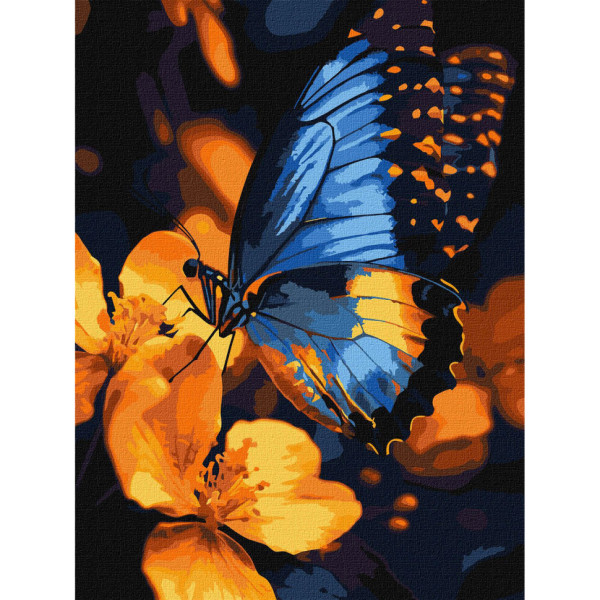 Картина за номерами "Мерехтіння крил" KHO6731 30х40 см