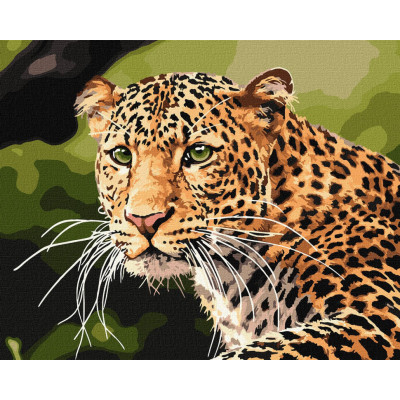 Картина за номерами "Зеленоокий леопард" Ідейка KHO4322 40х50 см