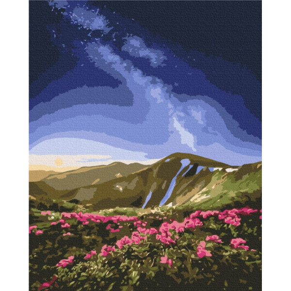 Картина за номерами "Чорногора" ©Roksolana Baran BS53753 40х50 см