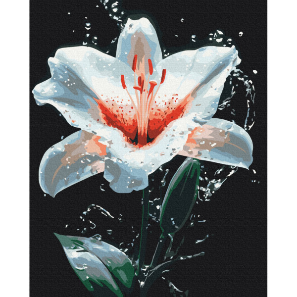 Картина за номерами "Сяйво лілії" BS54156 40х50 см
