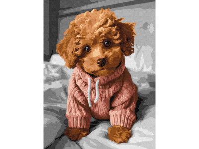 Картина за номерами "Чарівний мальтіпу" KHO6589 30х40см