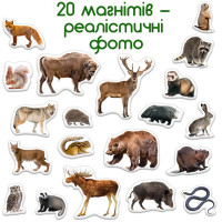 Дитячий набір магнітів Лісові мешканці фото ML4031-29 EN
