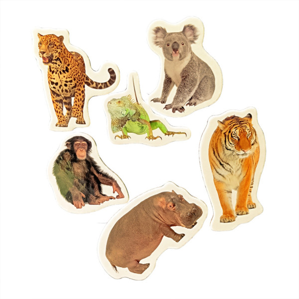 Дитячий набір магнітів "Тварини ЗОО" ML4032-22 в наборі 6 магнітів