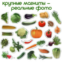 Набір магнітів Magdum "Овочі" ML4031-12 EN