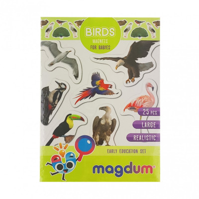 Дитячий набір магнітів Птахи фото Magdum ML4031-30 EN