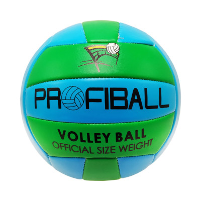 М'яч волейбольний EV-3159 20,7 см
