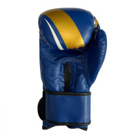 Рукавиці боксерські Fight Gear Team Club NE-BOX-BF-8-BL 8 oz сині