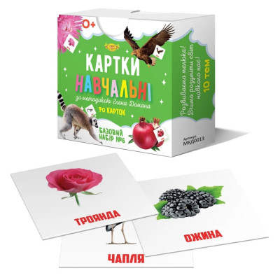 Картки навчальні Глена Домана №6 Майстер MKD0013 укр