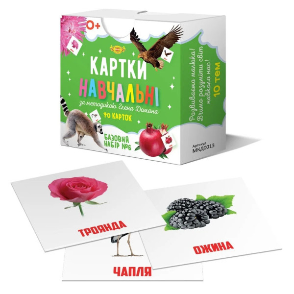 Картки навчальні Глена Домана №6 Майстер MKD0013 укр