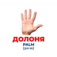 Набір розвиваючих карток Геній з пелюшок "Будова структура" Ранок 10107202 17 карток