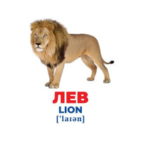 Набір розвиваючих карток Геній з пелюшок "Тварини різних широт" 10107200 17 карток Набір розвиваючих карток Геній з пелюшок "Тварини різних широт" 10107200 17 карток