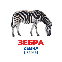 Набір розвиваючих карток Геній з пелюшок "Тварини різних широт" 10107200 17 карток Набір розвиваючих карток Геній з пелюшок "Тварини різних широт" 10107200 17 карток