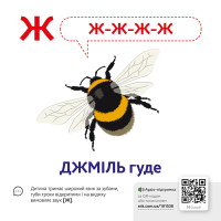 Навчальна гра Звуконаслідування Азбука Ранок з QR кодом Навчальна гра Звуконаслідування Азбука Ранок з QR кодом