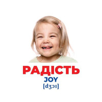 Набір розвиваючих карток Геній з пелюшок Емоції та почуття 10107208 17 карток