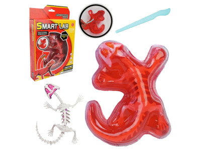 Дитячий лабораторнний набір Ящірка 803B скелет внутрішні органи