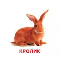 Розвиваючі картки для дітей Домашні тварини J012yD 18 картинок